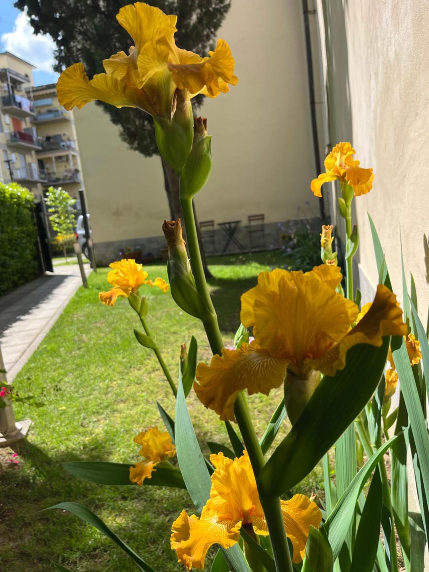 Dalu Florence Apartment Davide - Private Car Park 15 Minutes To The City Center ภายนอก รูปภาพ